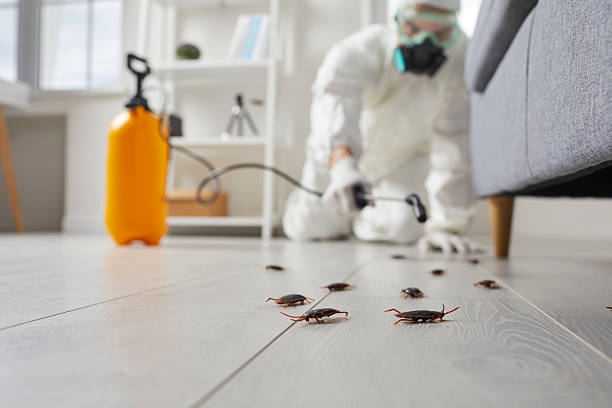 Commercial Kitchen Cockroach Control in Tuckerman